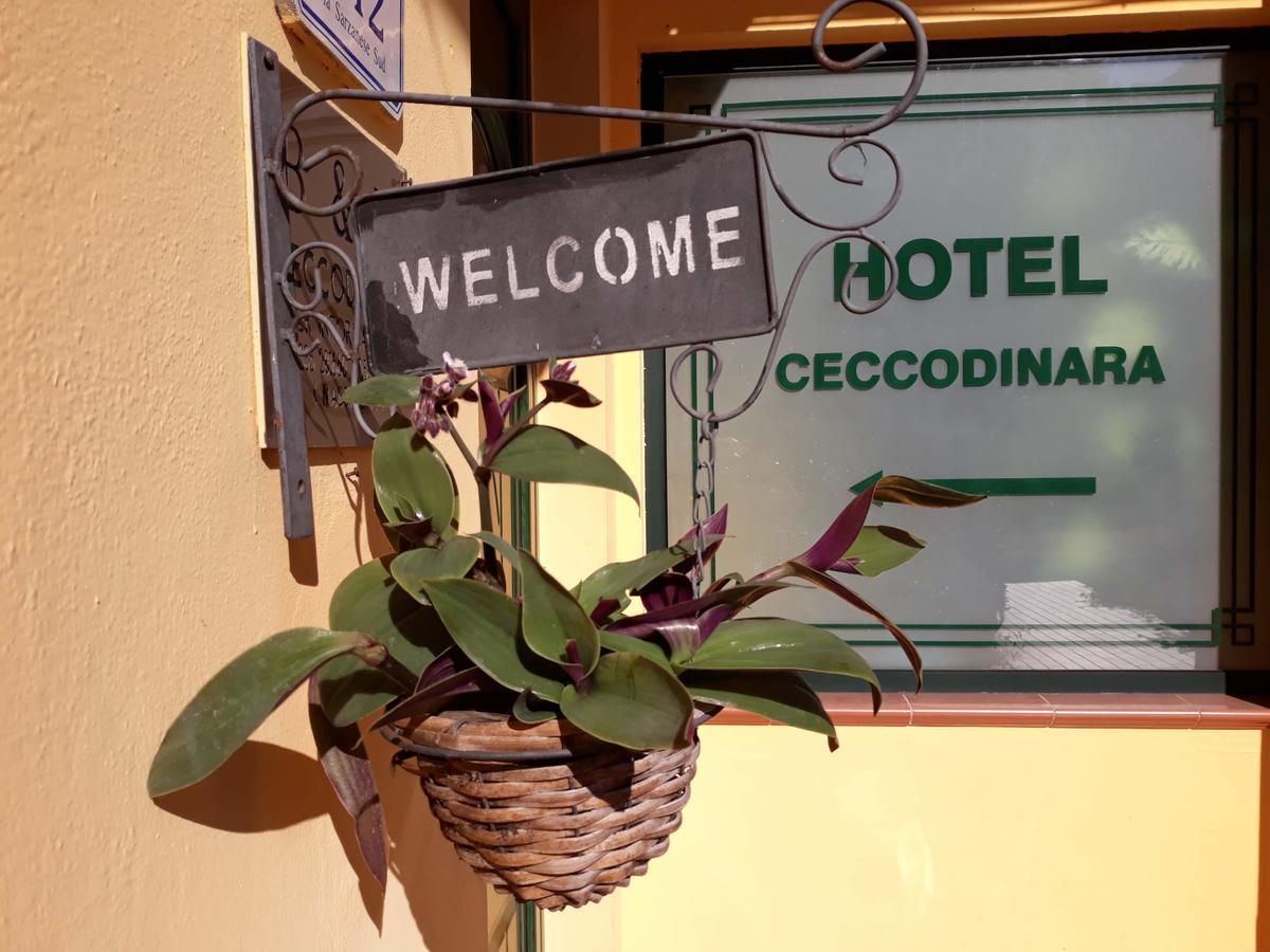 Cecco Di Nara Hotel Massarosa Bagian luar foto